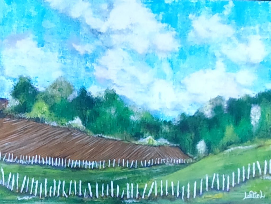 le champs des cailloux le champs des cailloux