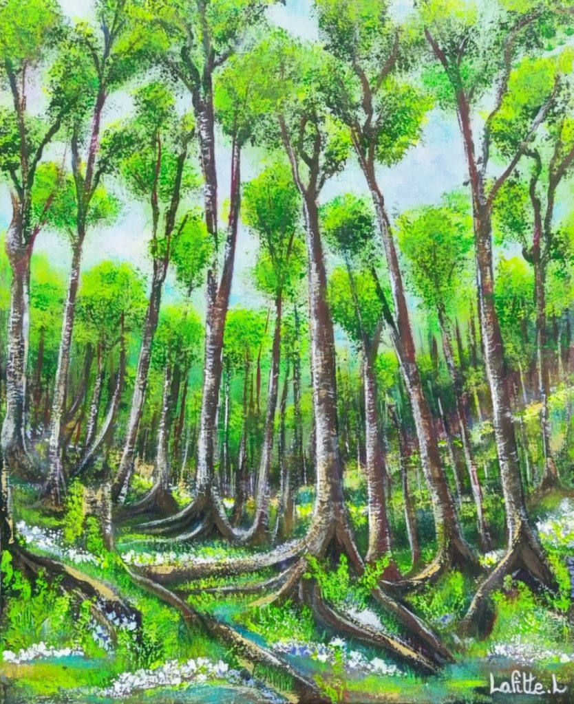 Sous la canopée Sous la canopée